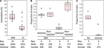 Male-killing mechanisms vary between Spiroplasma species